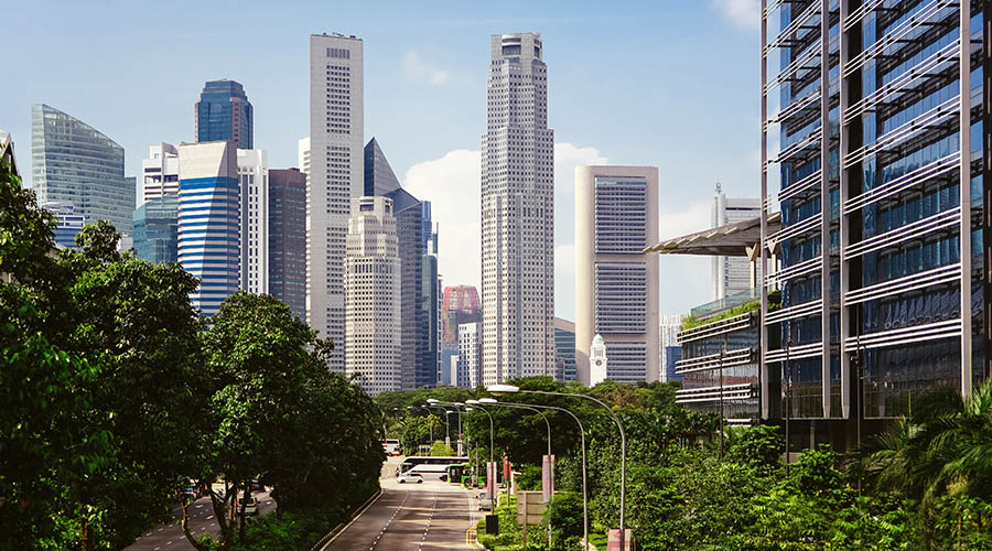 Buildings and trees in future city