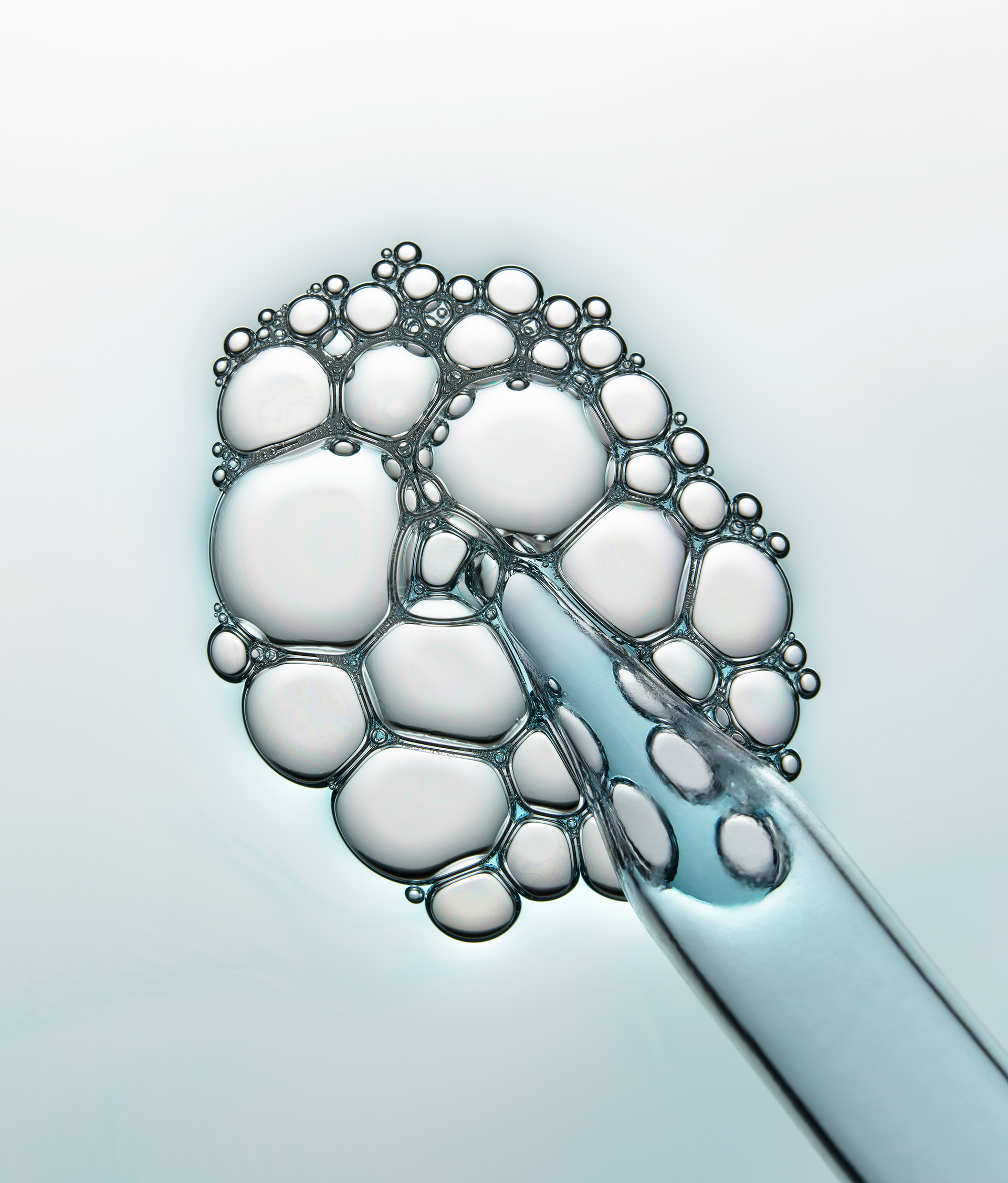Engineering Biology