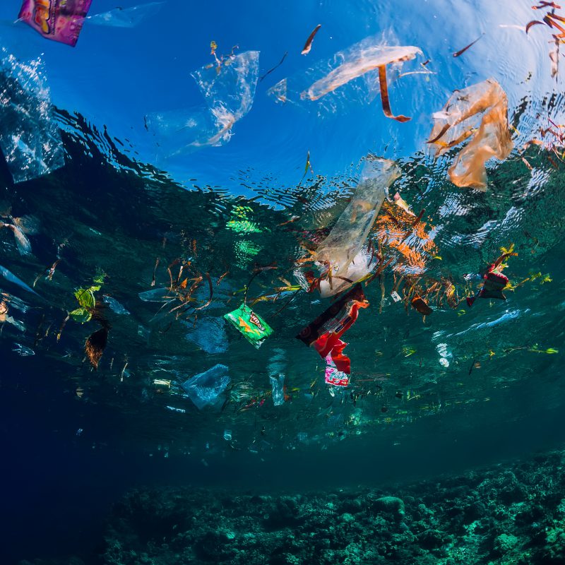 plastic waste floating in ocean