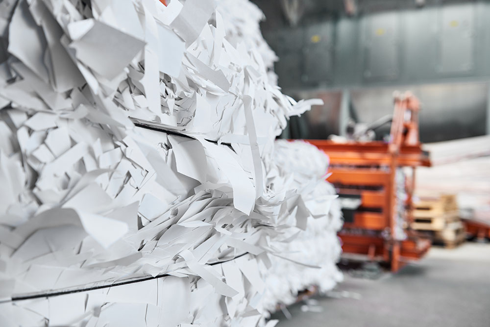 paper, machine, recycle, recycling, industry, factory, production, recycled, business, process, plant, background, industrial, manufacturing, processing, waste, white, trash, sheet, garbage, mill, isolated, destroy, shred, confidential, newspaper, cut, ro