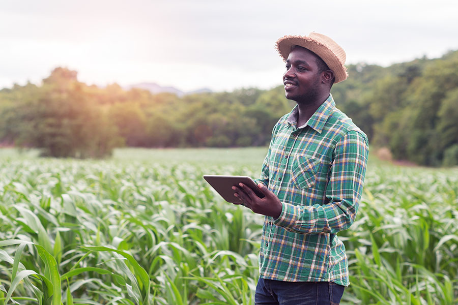 AgriFood Africa Connect Innovation Awards