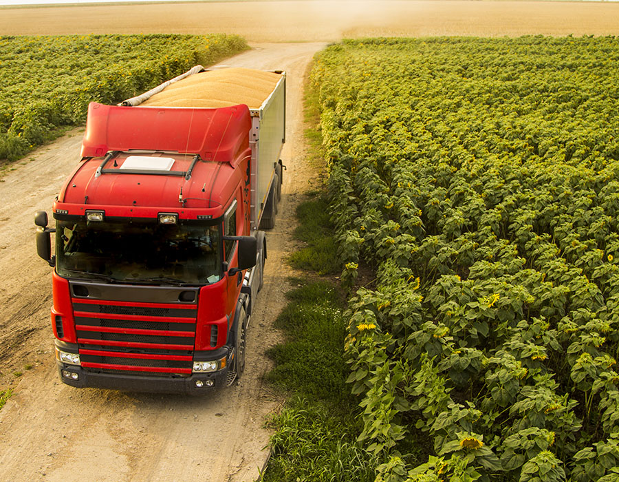 lorry driving past crop field