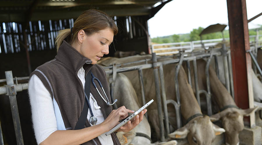 Global Business Innovation Programme in New Zealand - Agri-Tech briefing event