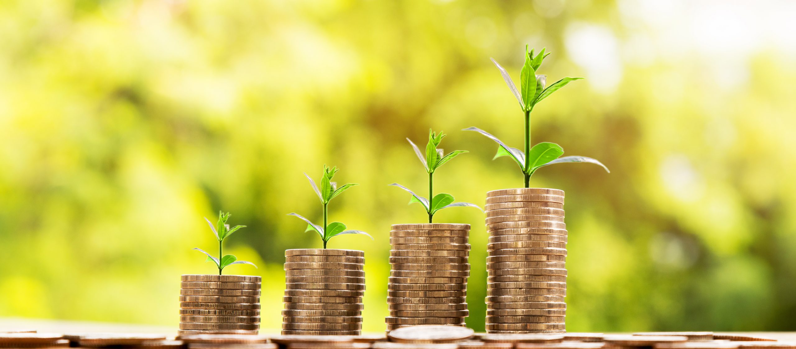 piles of coins with leaves growing from them