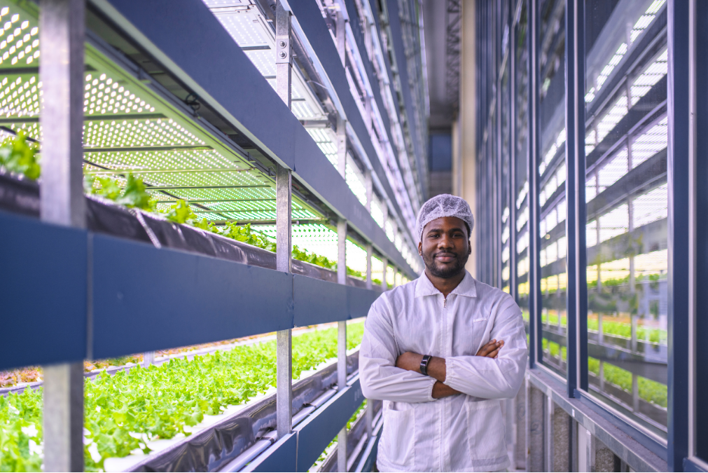 Farmer in white coat and white hat in greenhouse