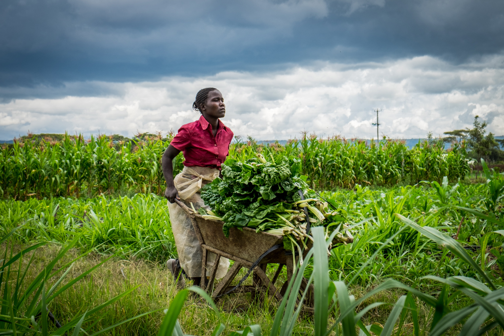 New African Continental Free Trade Area set to boost exports within Africa 