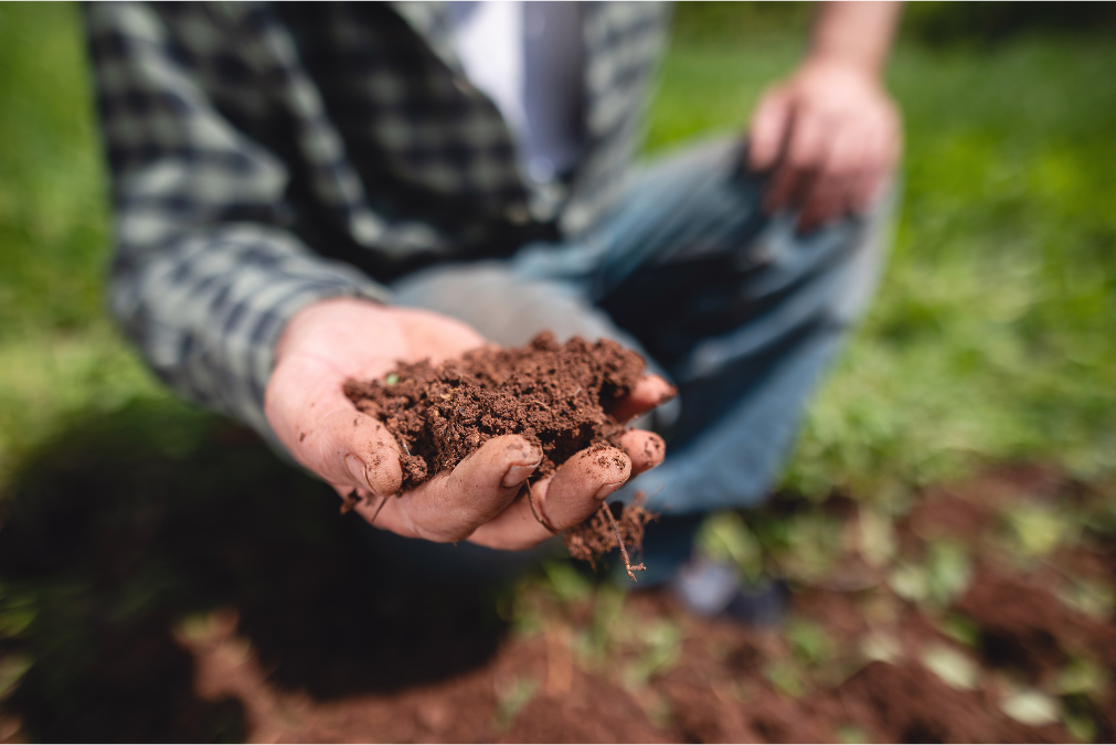 <strong>Earthly Biochar</strong>: Fighting climate change while restoring soil health