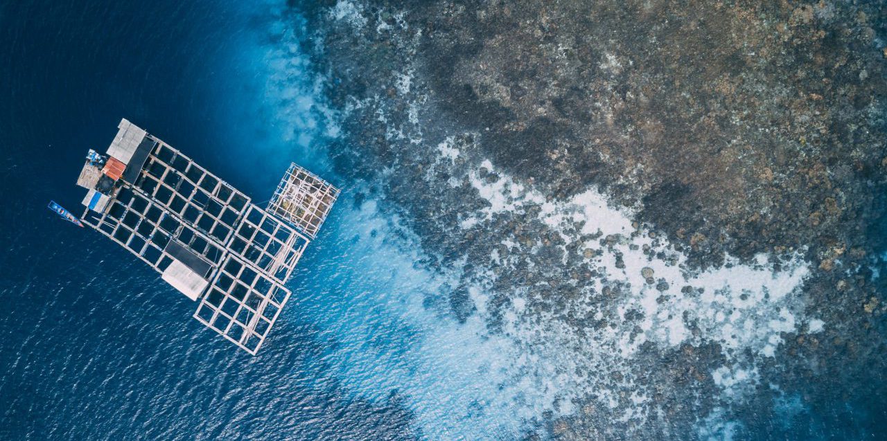 What the European Aquaculture sector really needs to innovate sustainably  