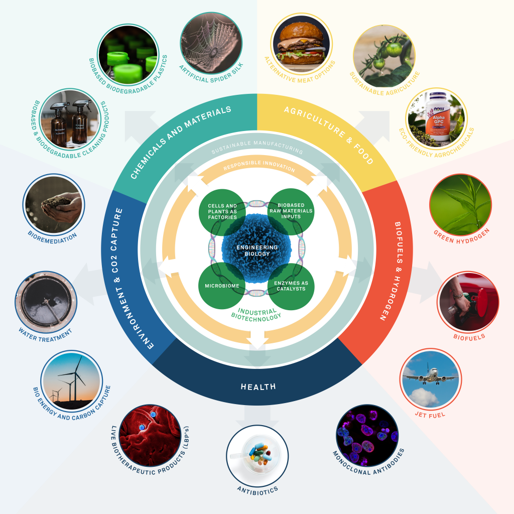 Infographic showing the IBLF's work in concentric circles, with lab-based activities such as engineering biology at the centre, and practical real-world applications such as biofuels on the outer ring.