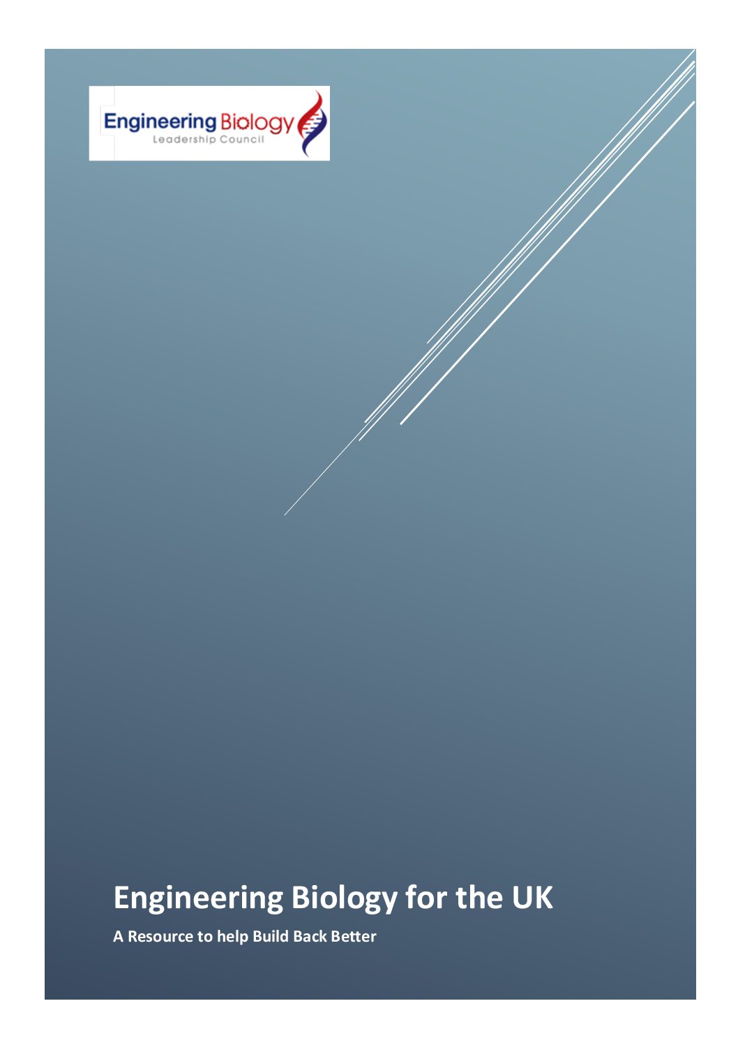 Building Back Better (2020)