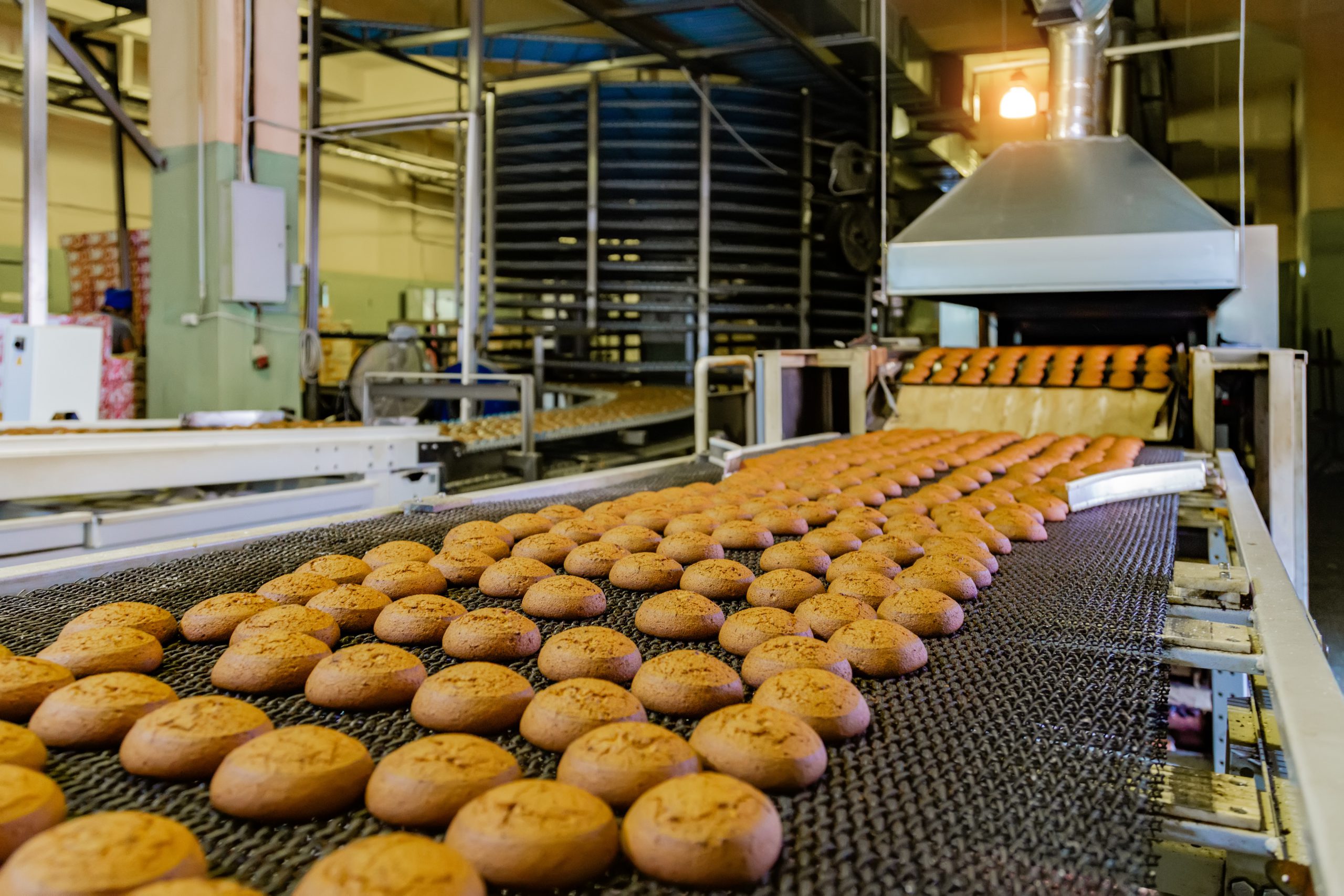 Production line of baking cookies