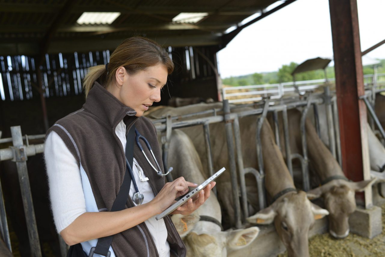 AgriFood livestock/aquaculture placement opportunity for PhD students