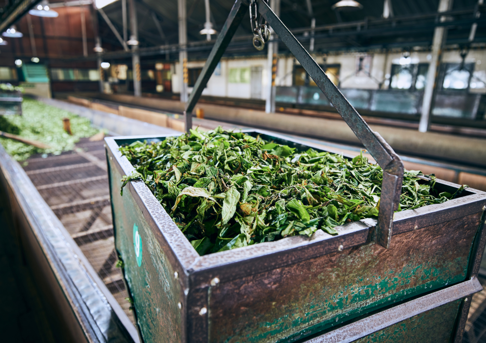 Energy innovation for sustainable processing and manufacturing in African AgriFood: call for energy challenges and technology solutions