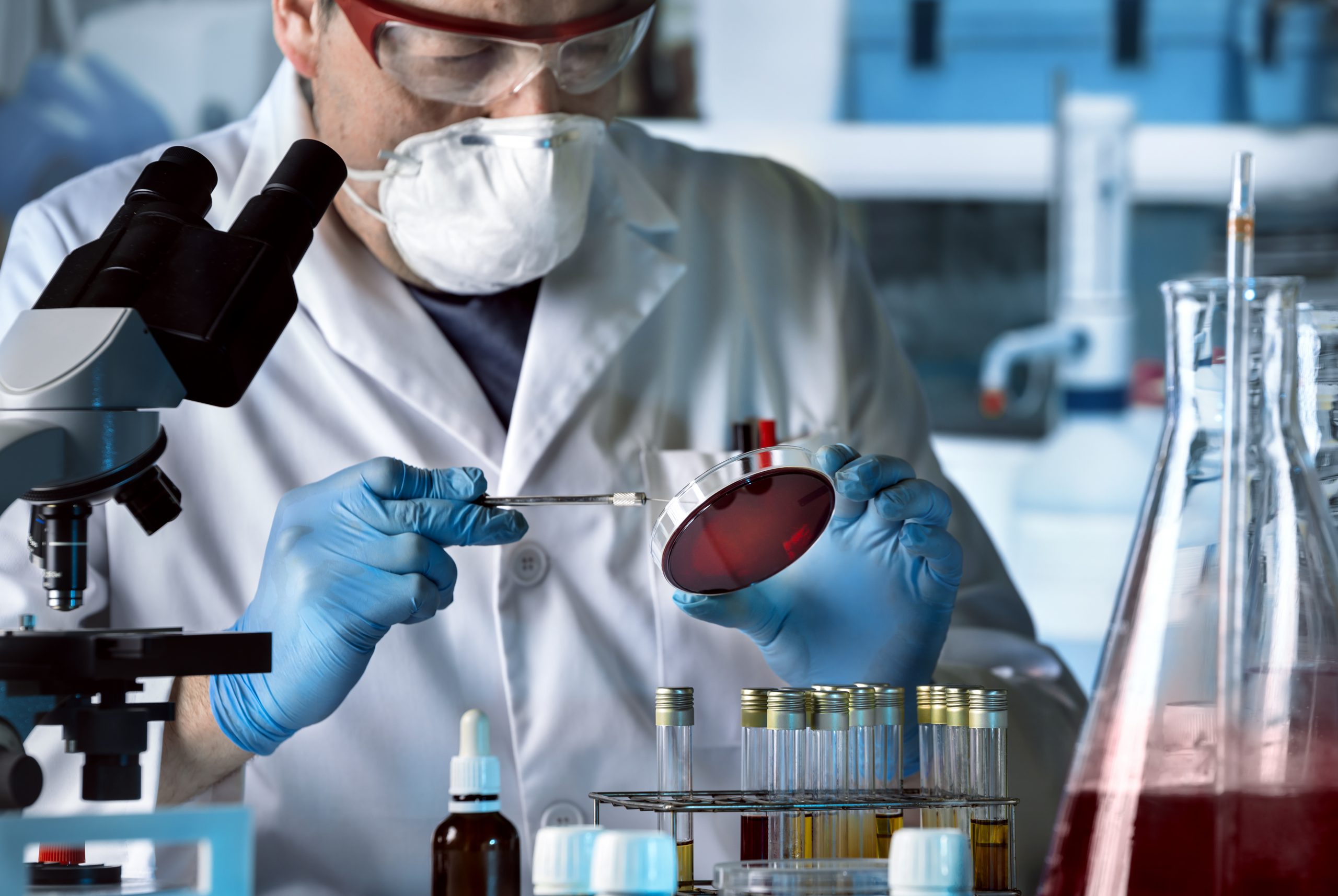 Scientist examining laboratory equipment