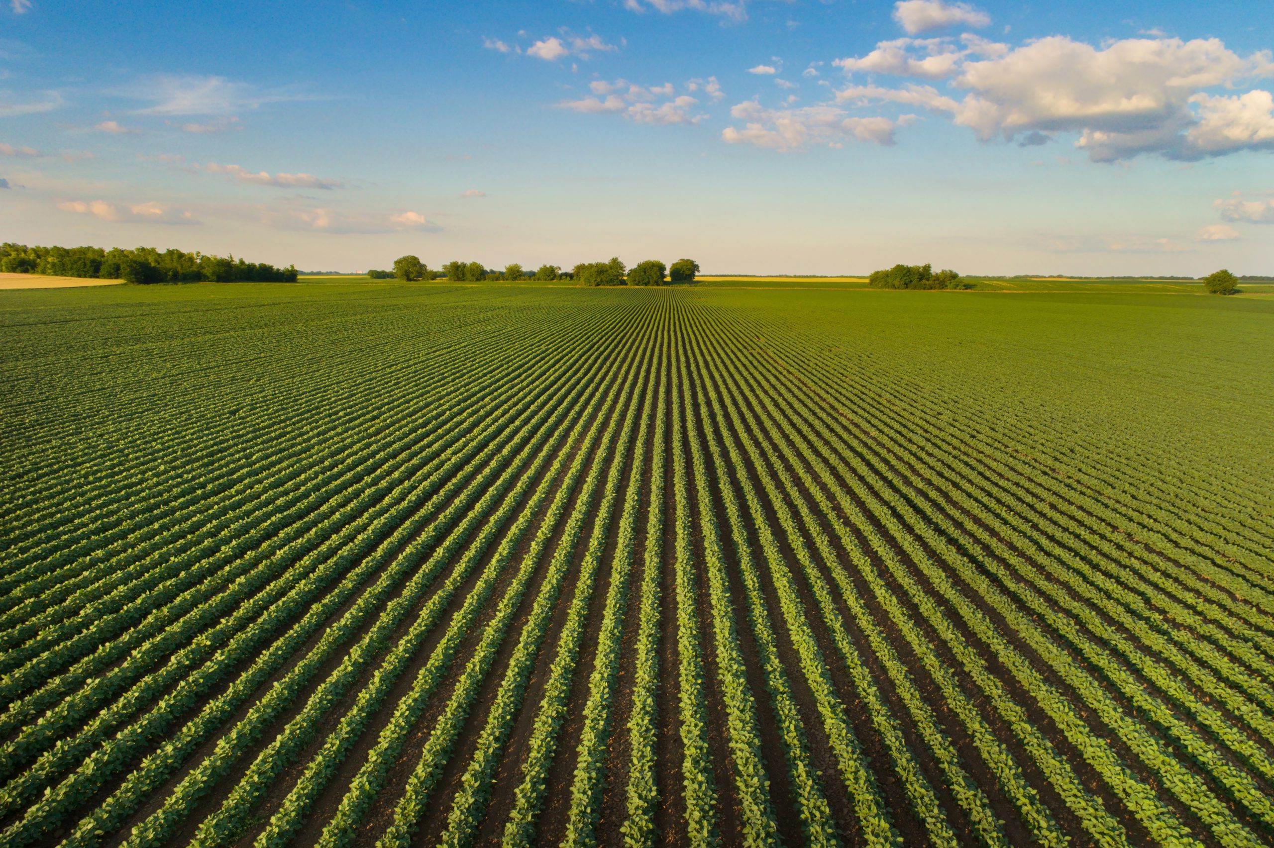 Horizon Europe Cluster 6: Food, Bioeconomy, Natural Resources, Agriculture and Environment