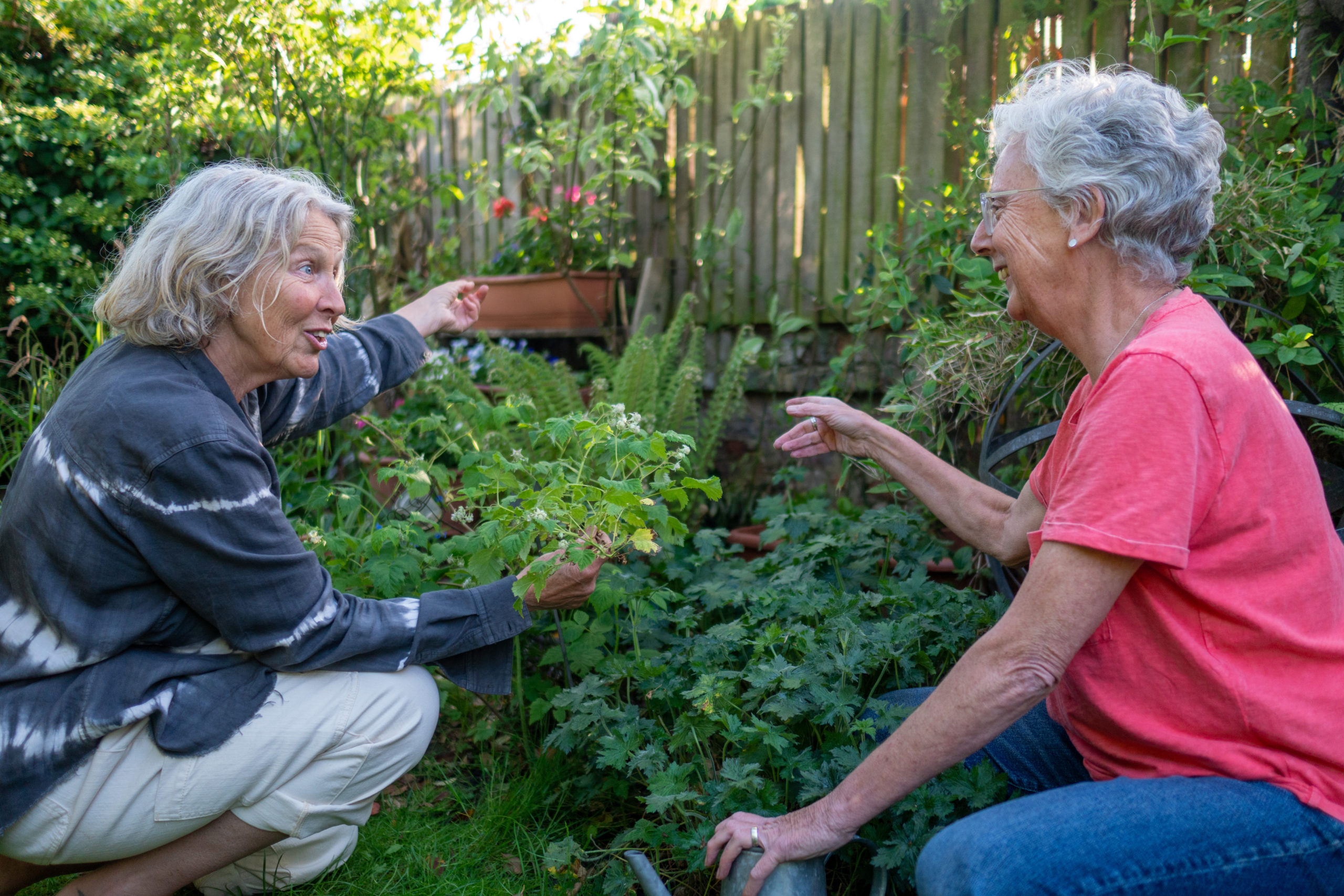 SBRI Healthy Ageing Scaling Social Ventures Competition