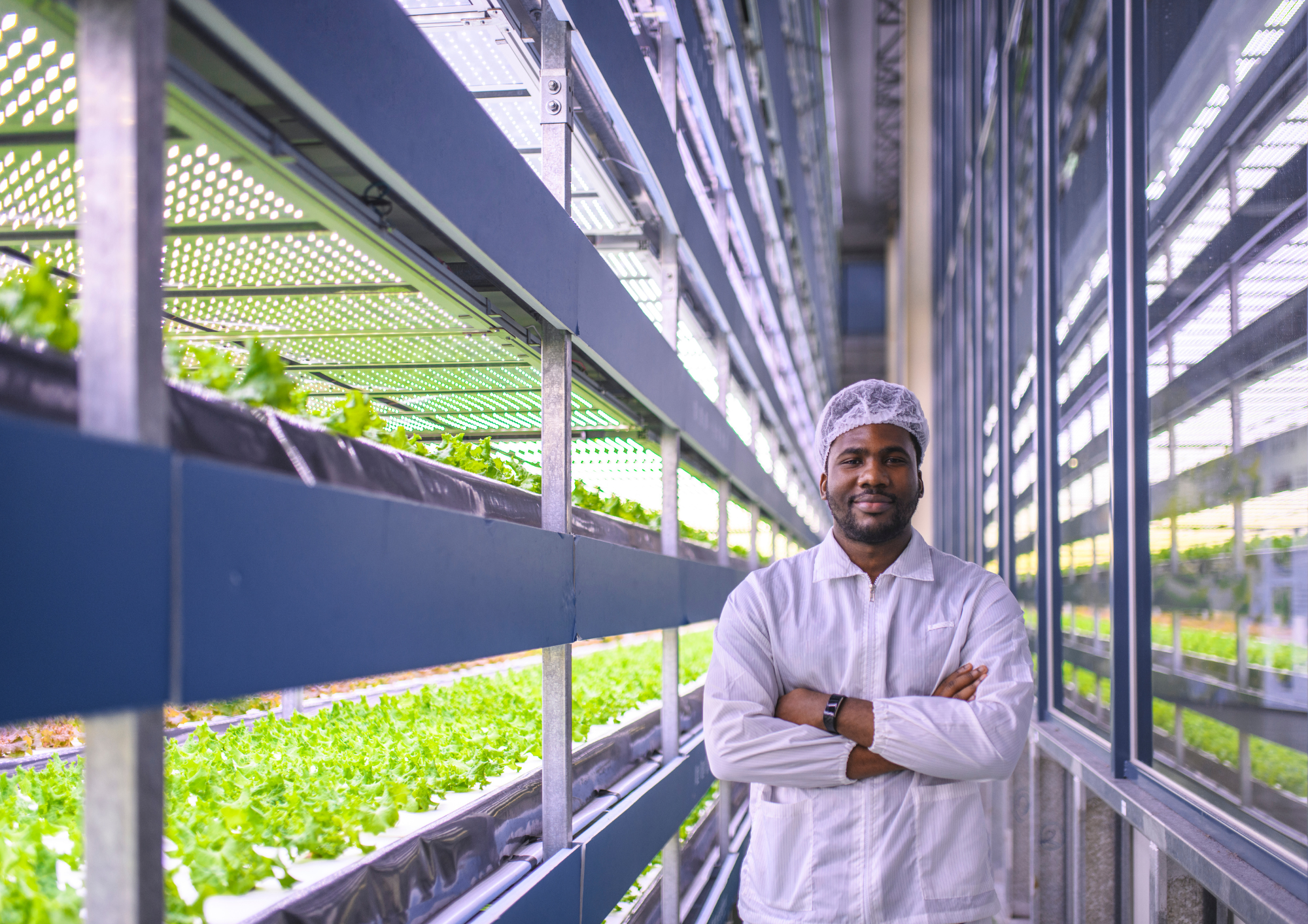 Vertical farming