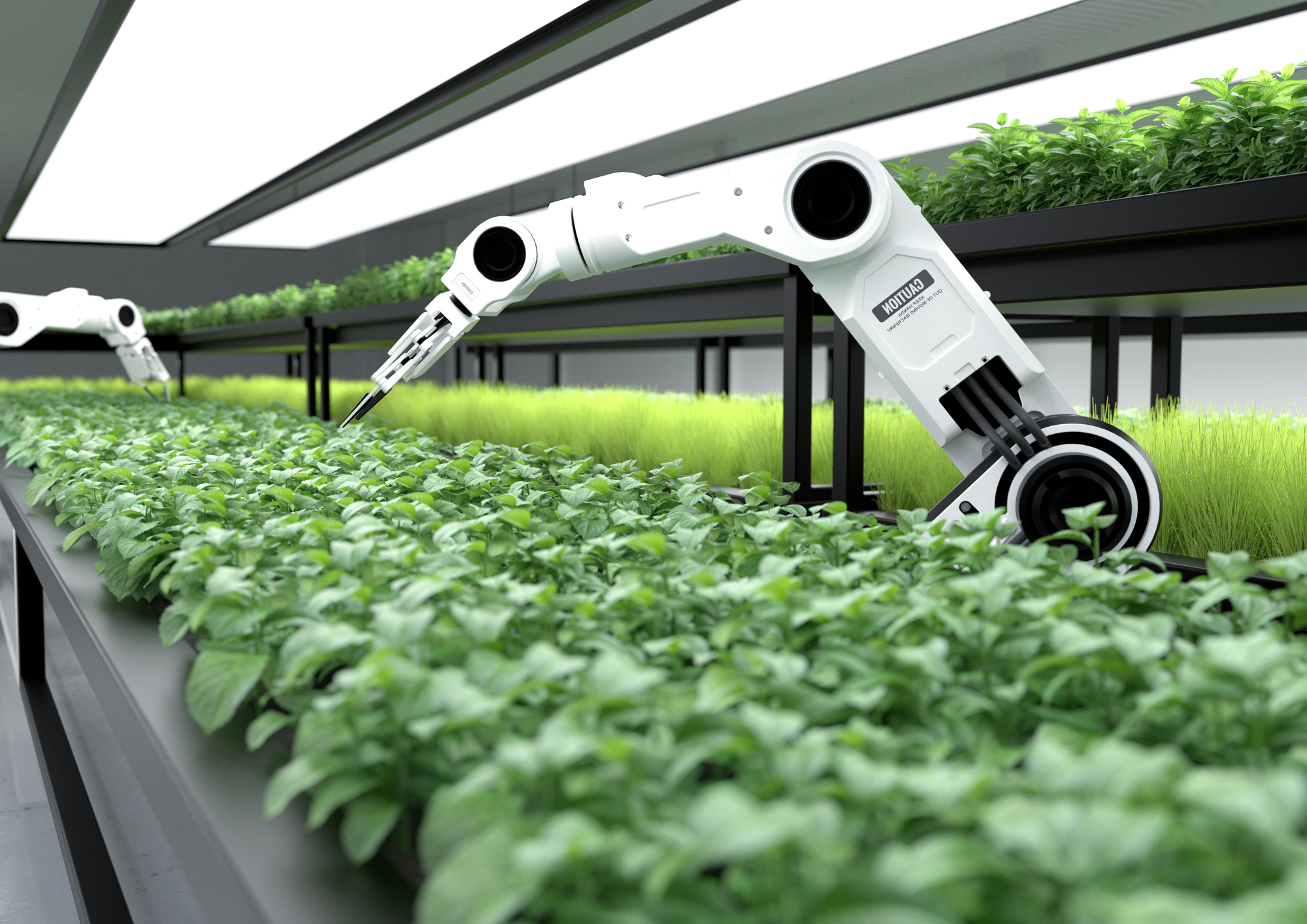 Robot arm harvesting crops