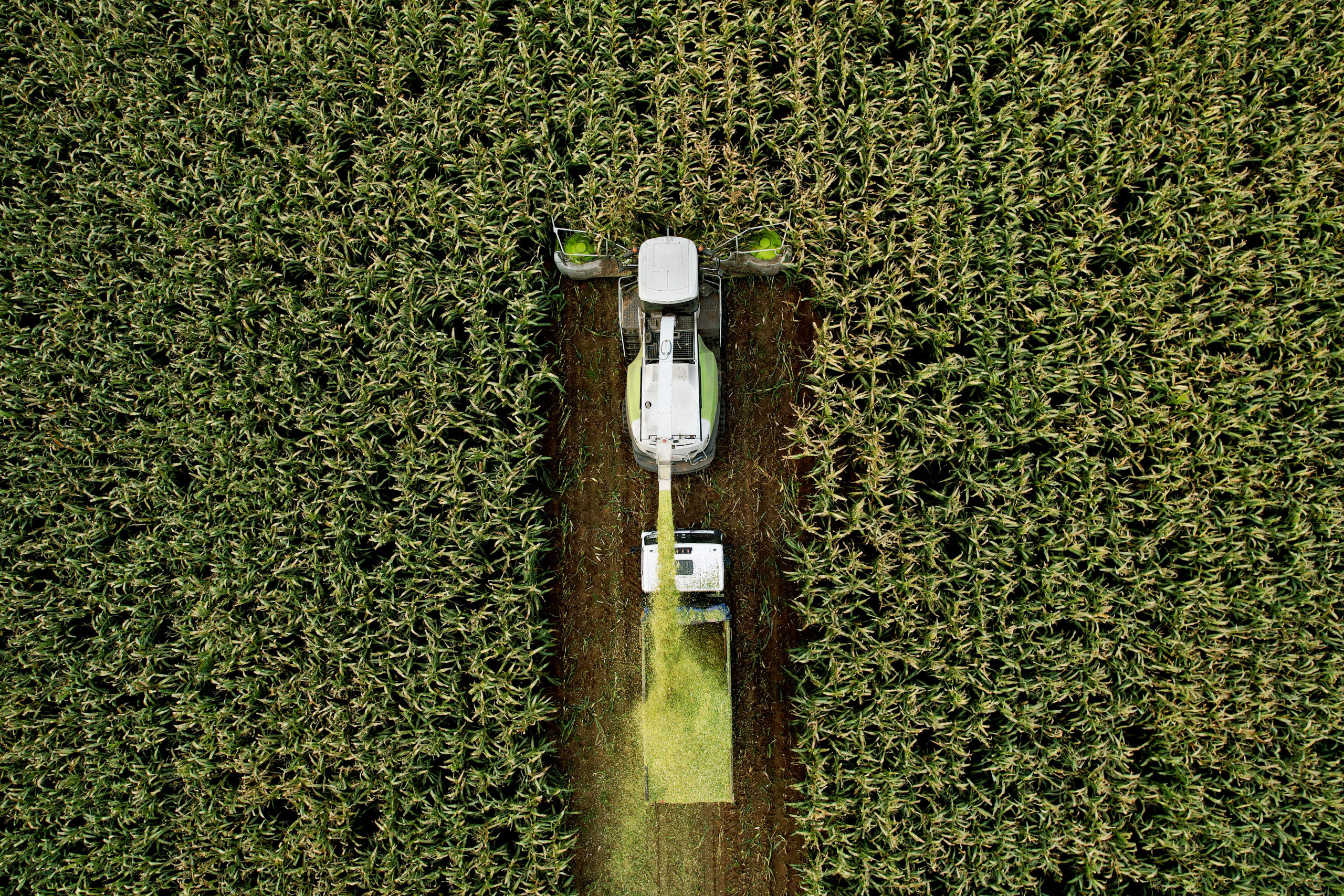 harvesting vehicle in field, aerial view