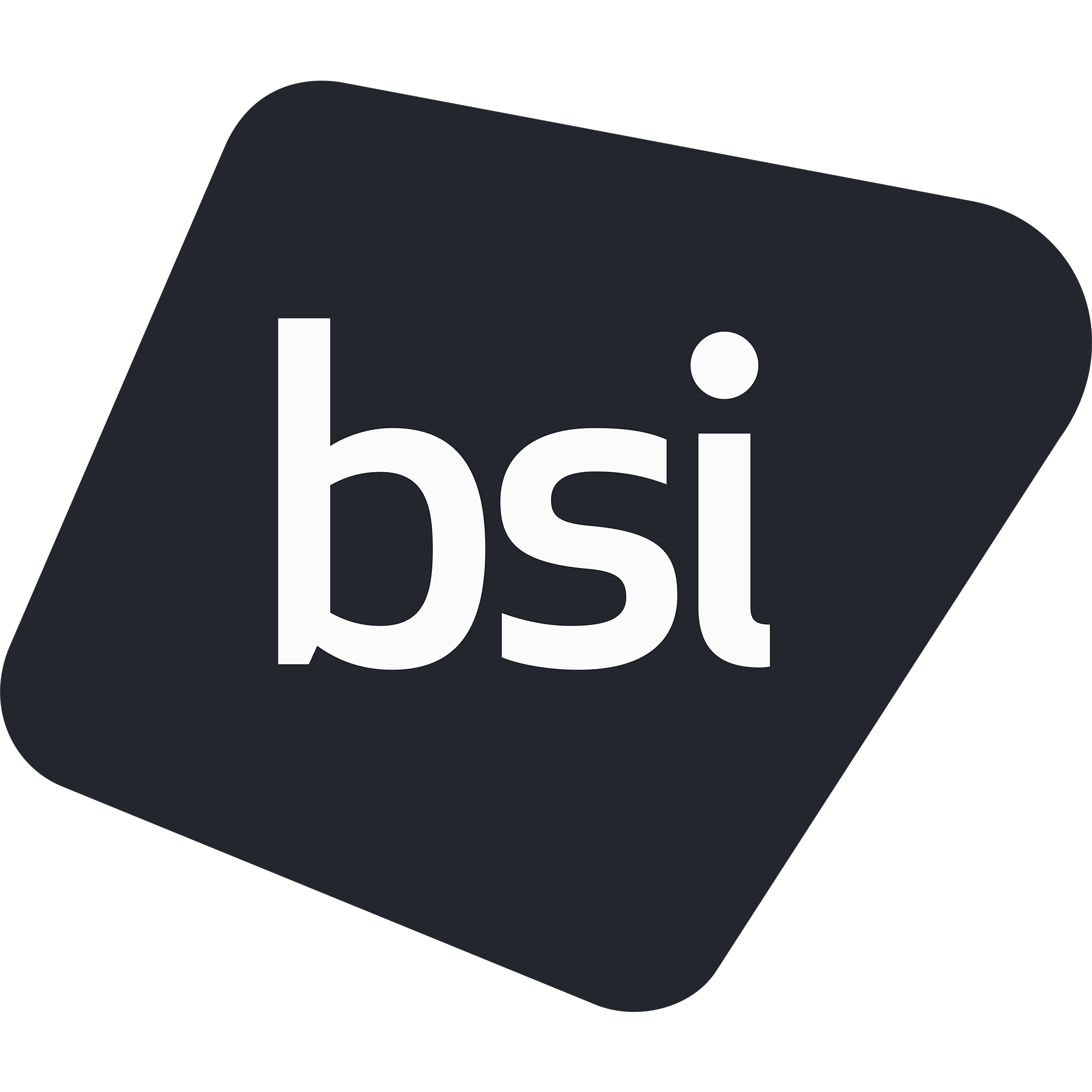 BSI Group