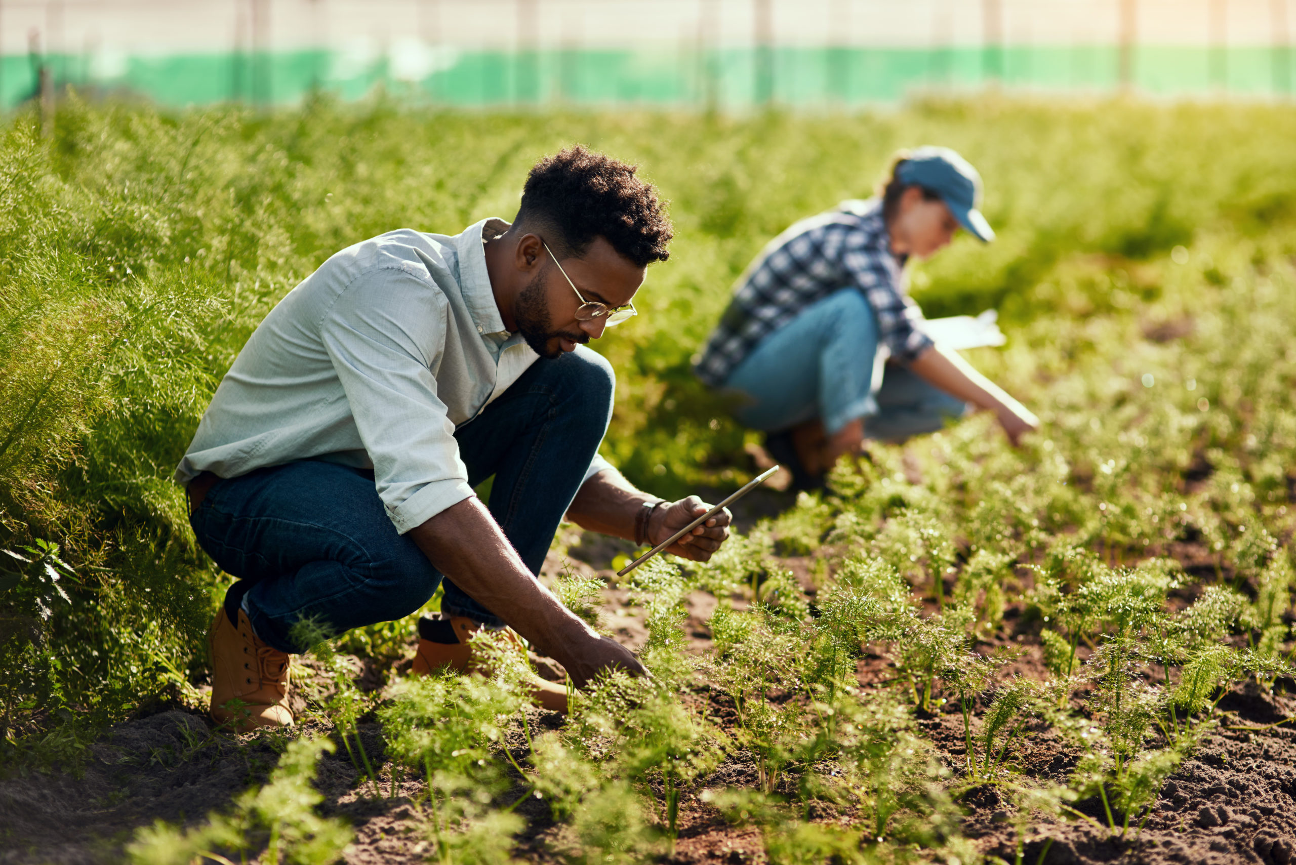 How collaboration and strong partnerships are powering AgriFood system innovation in Africa