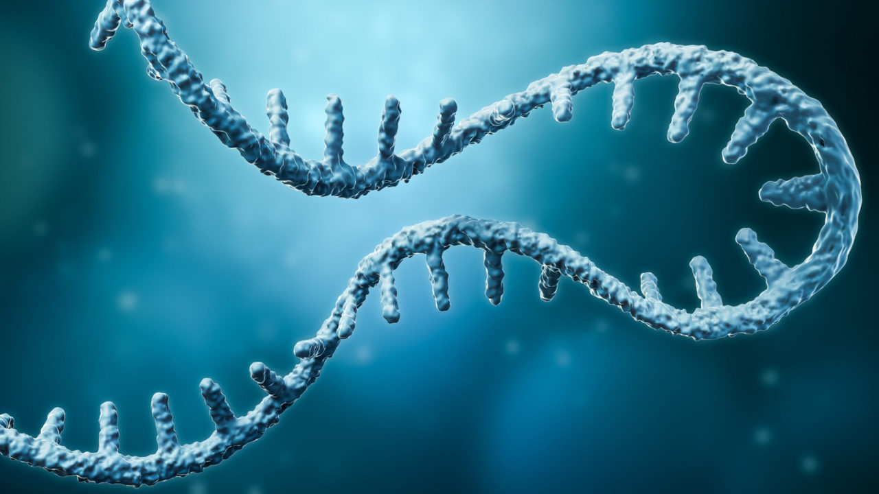 Nucleic Acid Medicines Manufacturing