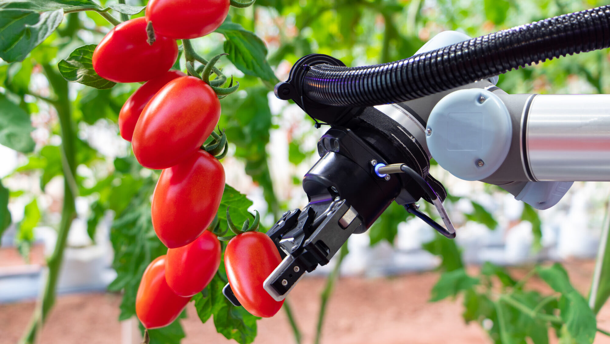 UK Agri-Tech Centre