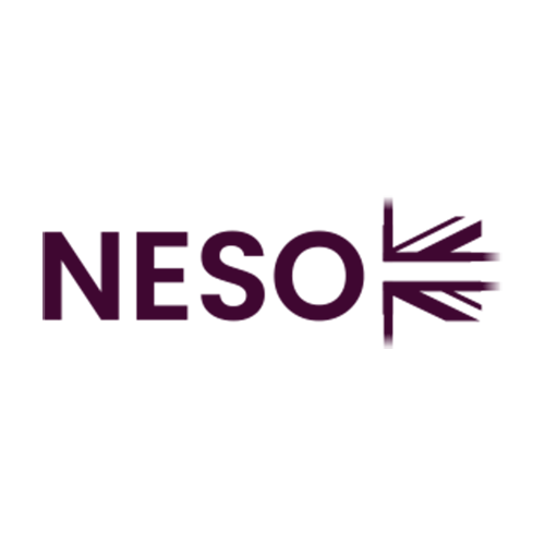 National Electricity System Operator