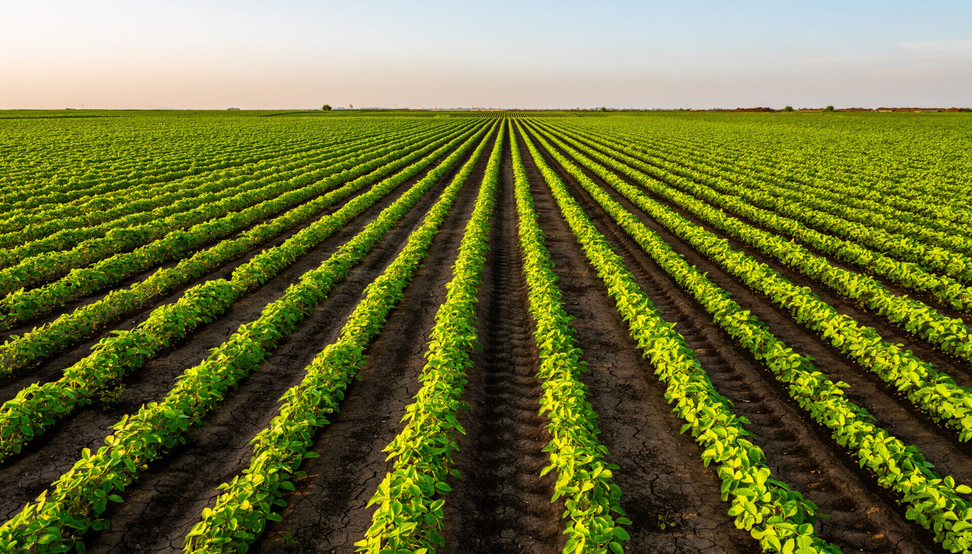Better Food for All: Innovation for improved nutrition
