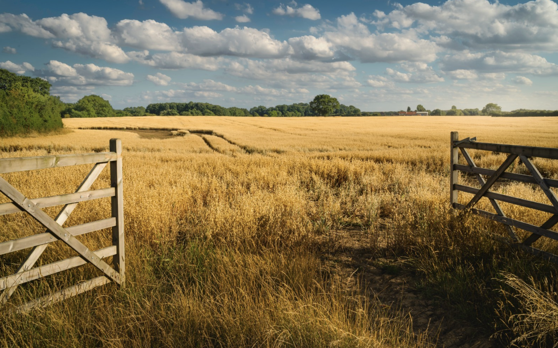 Accelerating sustainable farming through innovative carbon capture schemes