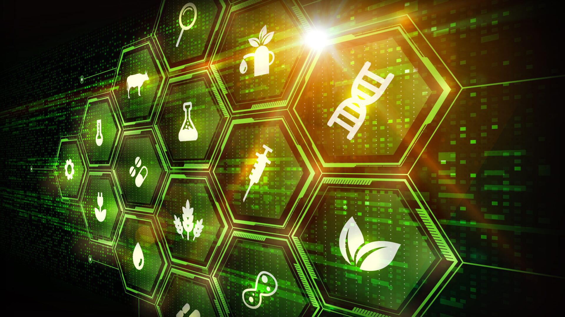 Engineering Biology Innovation Network Launch Event