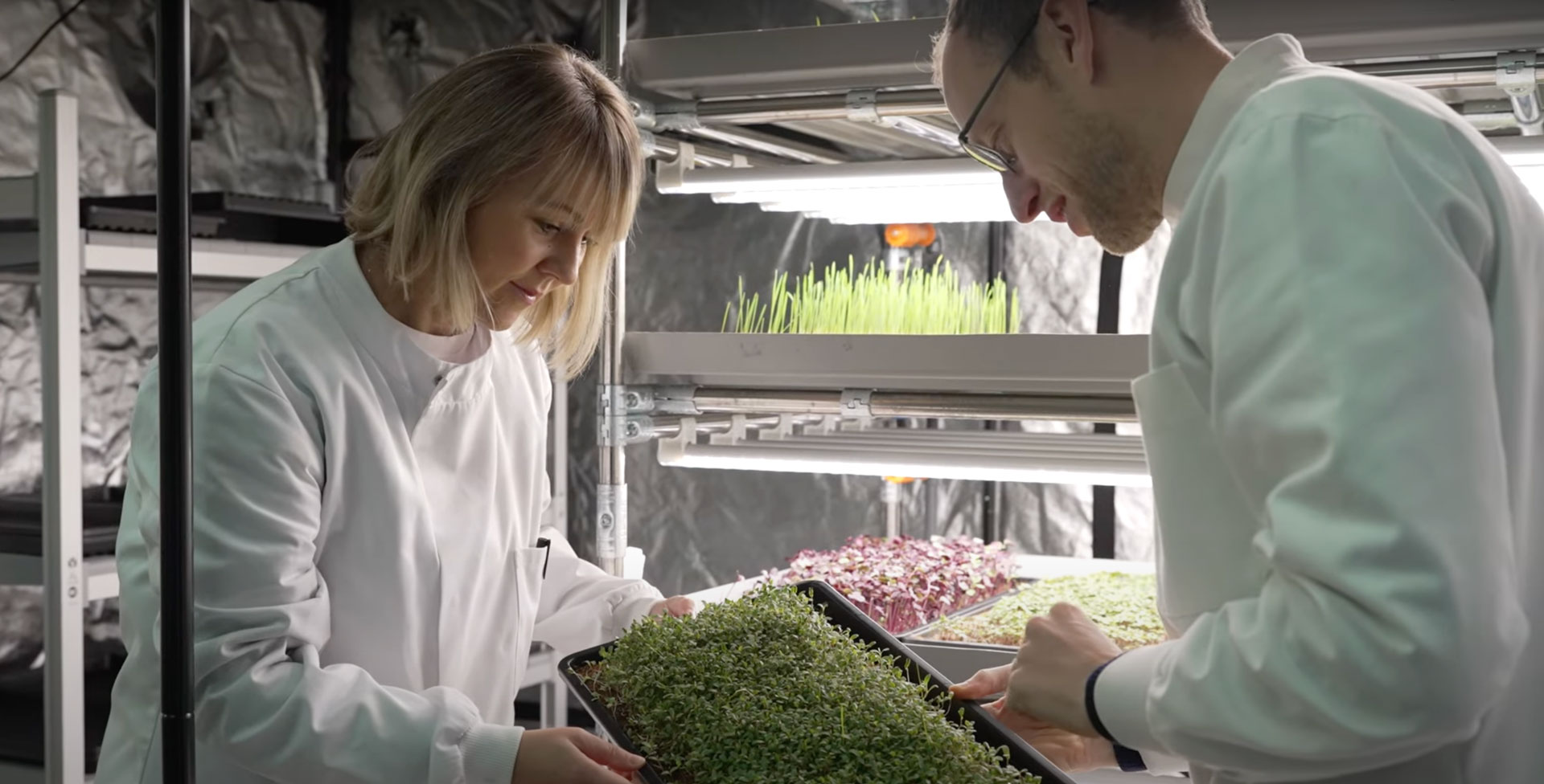 Developing a Circular Model for Low-Emission, Healthy Food Production