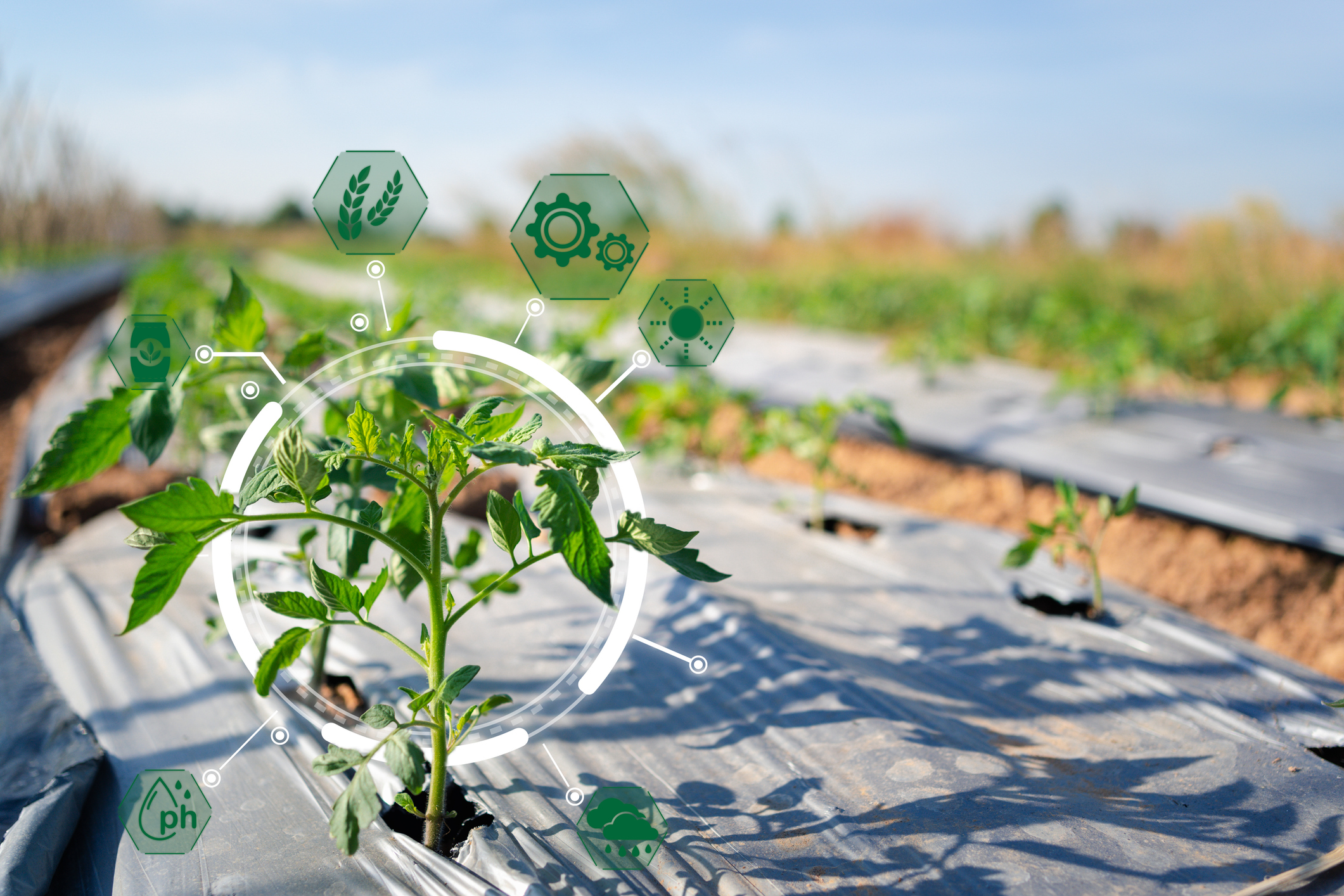 Global Incubator Programme: Australia - Agri-Tech briefing event
