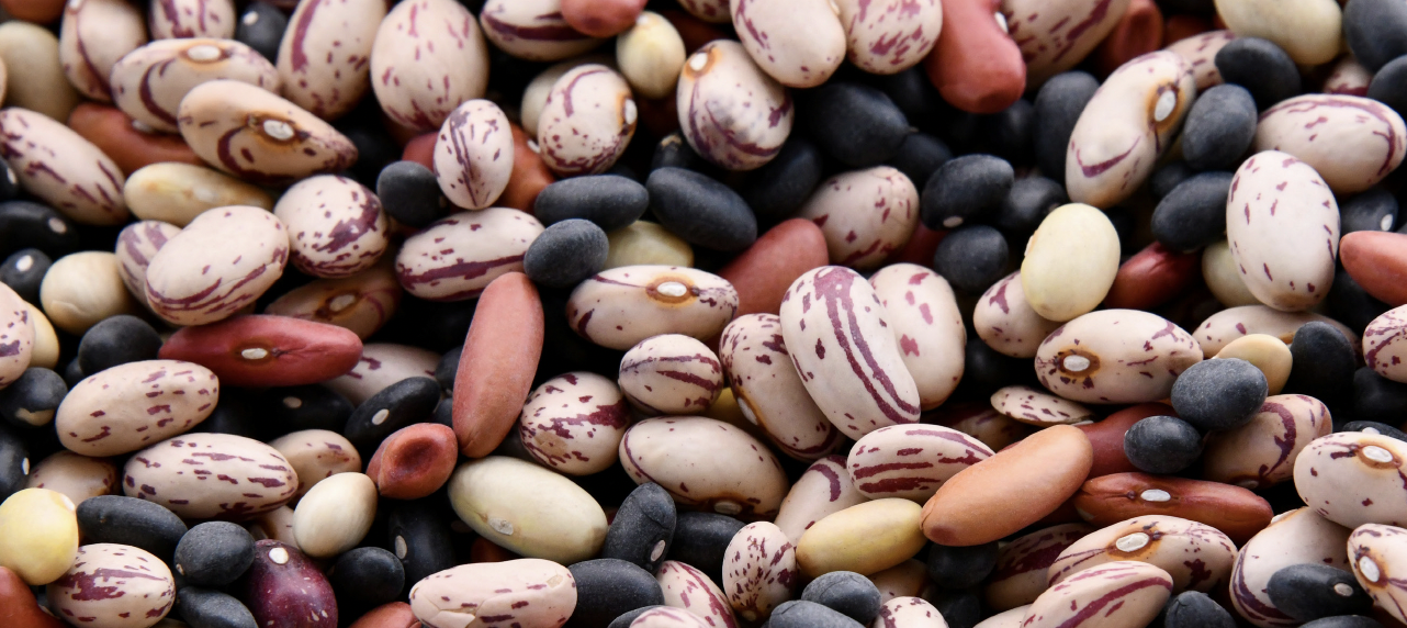 Rapid Review of Kenyan Alternative Proteins Sector Report