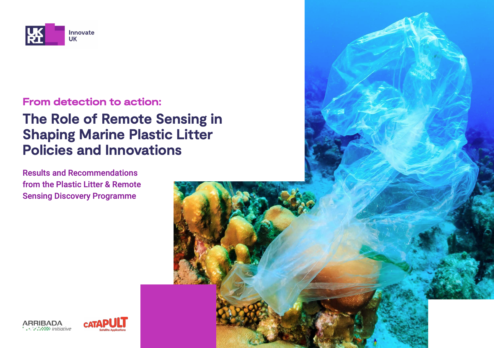 The Role of Remote Sensing in Shaping Marine Plastic Litter Policies and Innovations