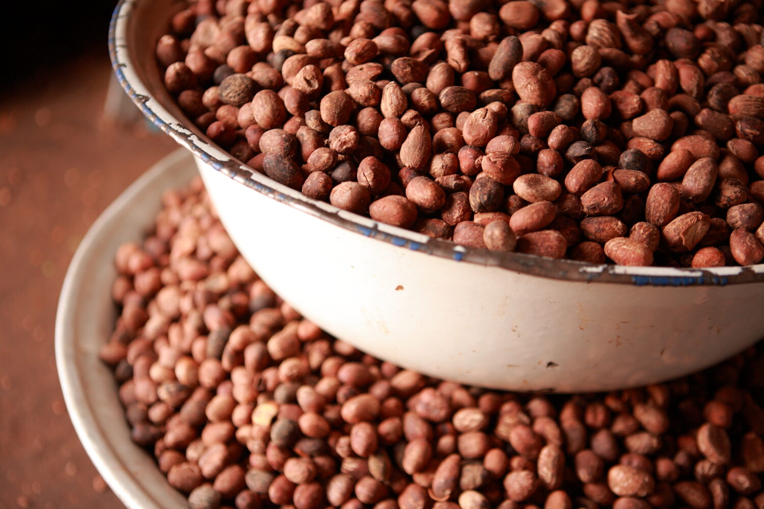 Leveraging technology for climate smart solutions in Shea Parklands