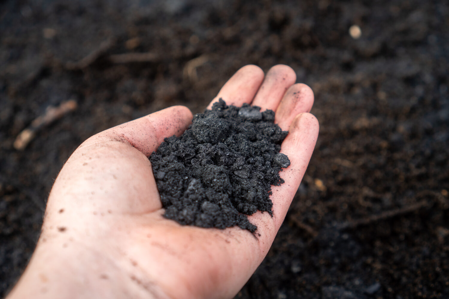 Optimising biochar for soil fertility improvement and climate-smart agriculture among smallholder farmers in Nigeria