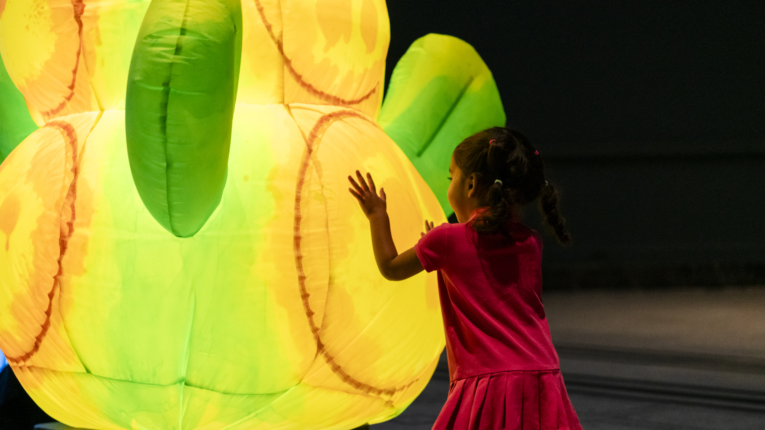 Image credit - Sandra Ebert (Header image credit - Paul Blakemore)