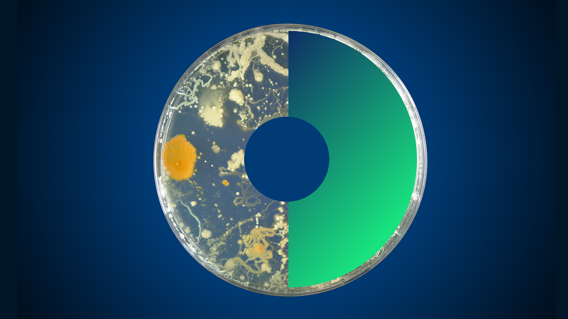 EUP OHAMR 2026 call: New treatments to tackle Antimicrobial Resistance (AMR) – UK webinar and drop in sessions briefing