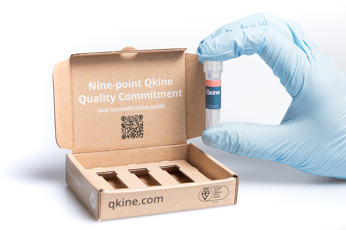 Innovate UK helps Qkine grow with a formula for scale