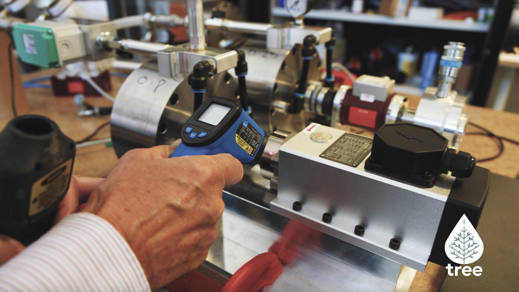 Growth takes root for Tree Associates as it cuts carbon 