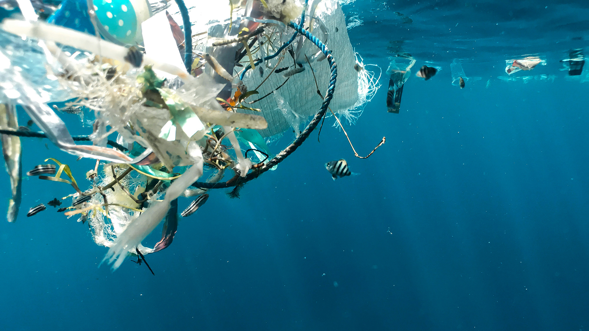 Plastic-i scales ocean intelligence with Innovate UK support