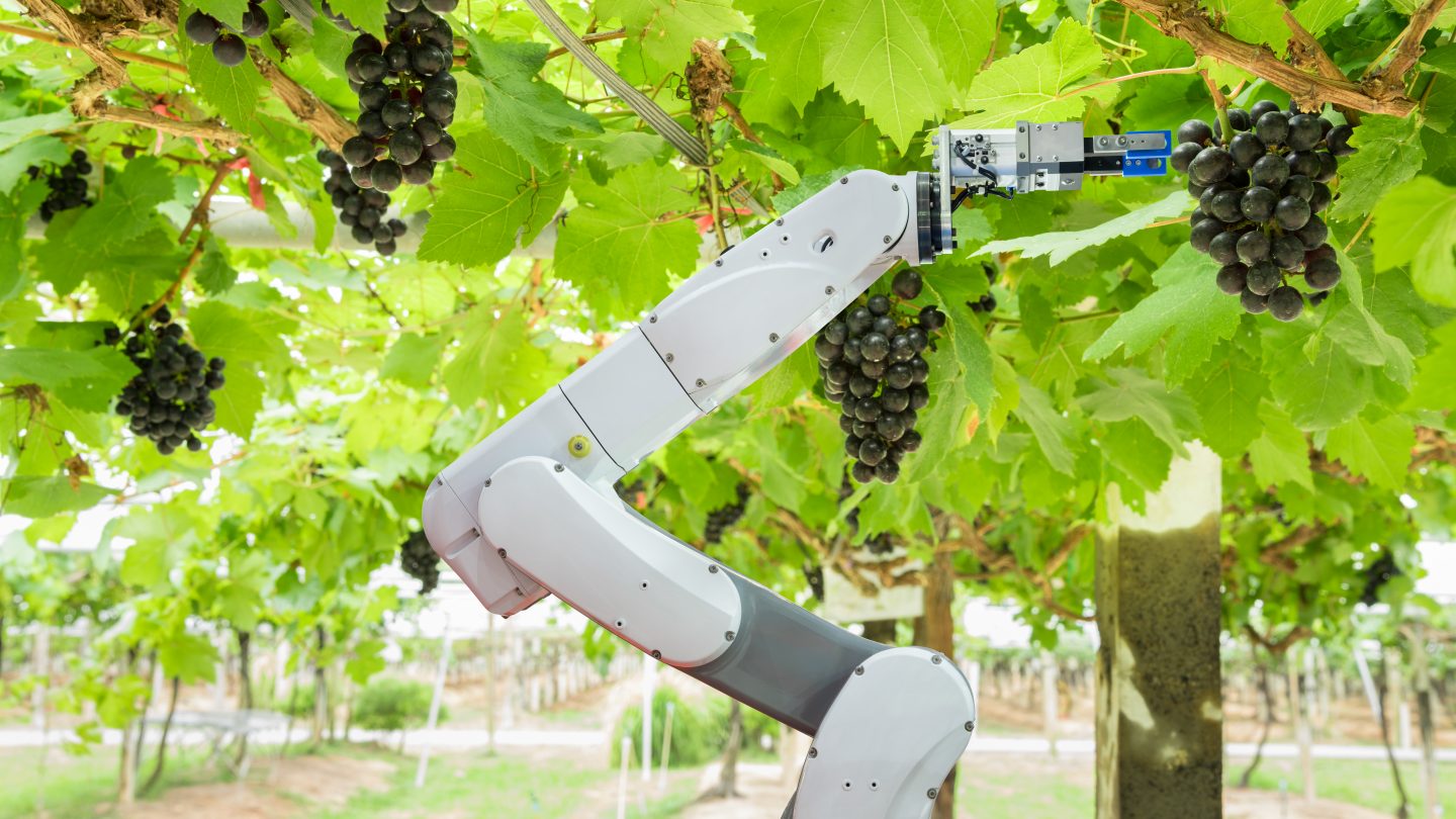 Accelerating innovation in the agrifood robotics and automation sector 