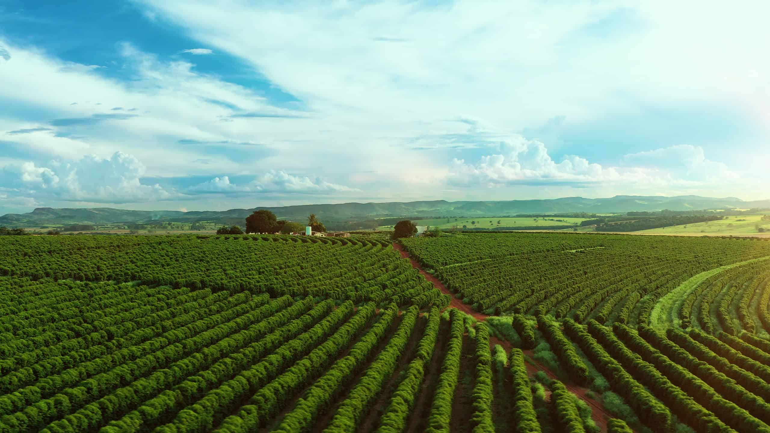 Climate-Smart Agriculture Partnership Showcase: Exploring technologies and lessons learnt