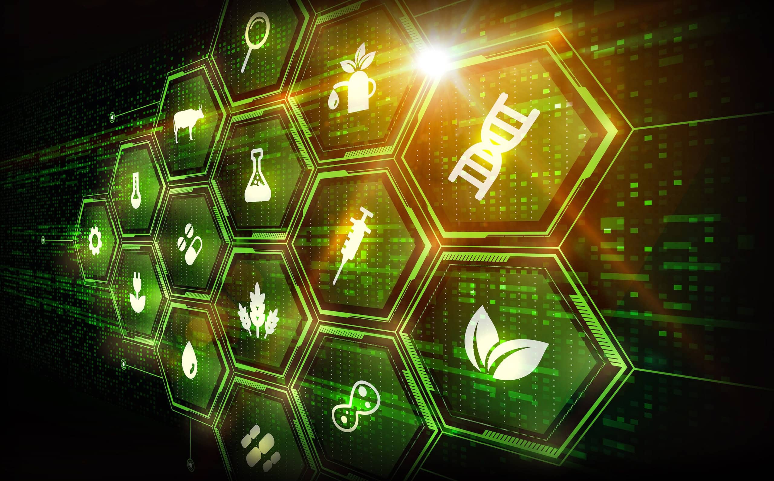 Engineering Biology Contracts for Innovation engagement workshop