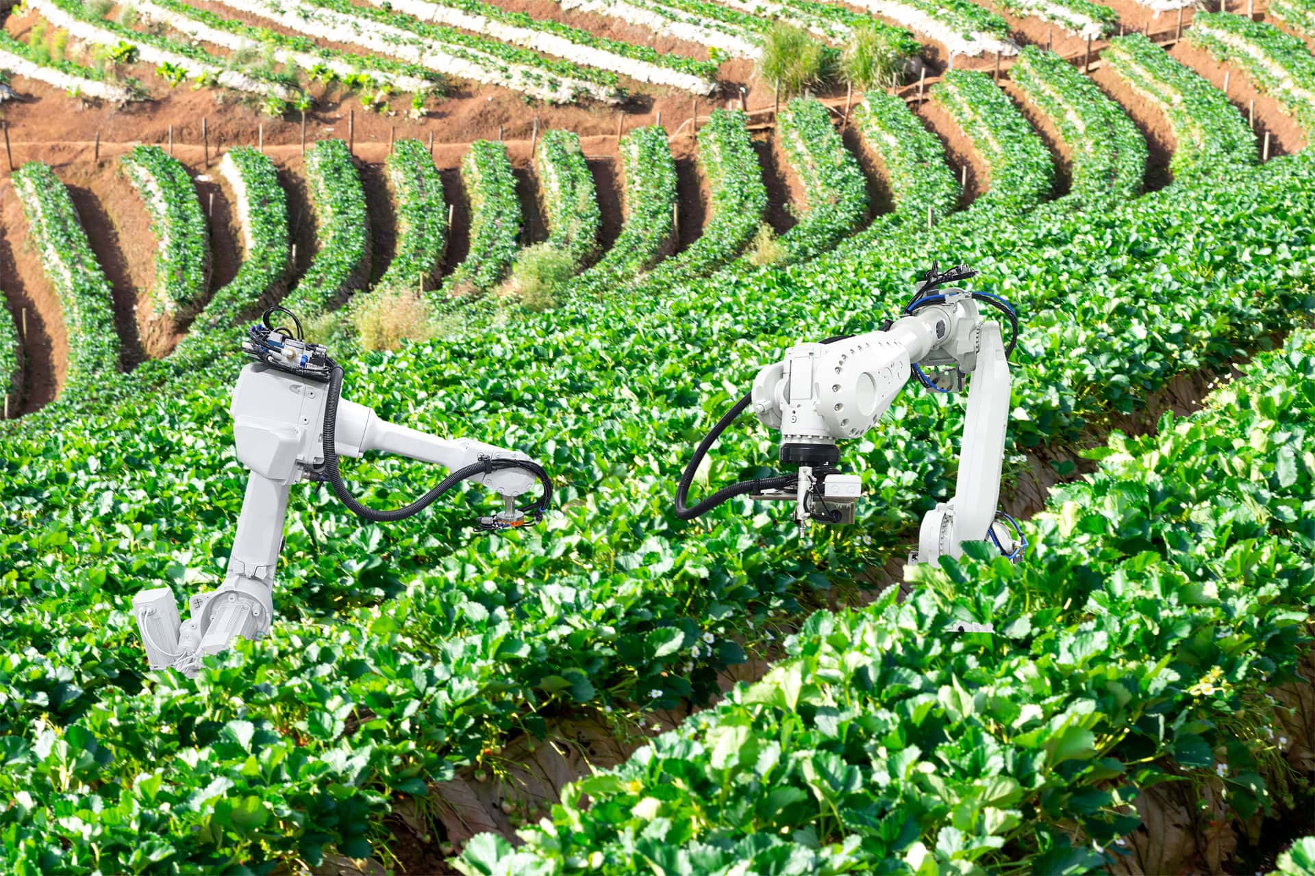 AgriScale: Accelerating agri-tech manufacturing competition briefing
