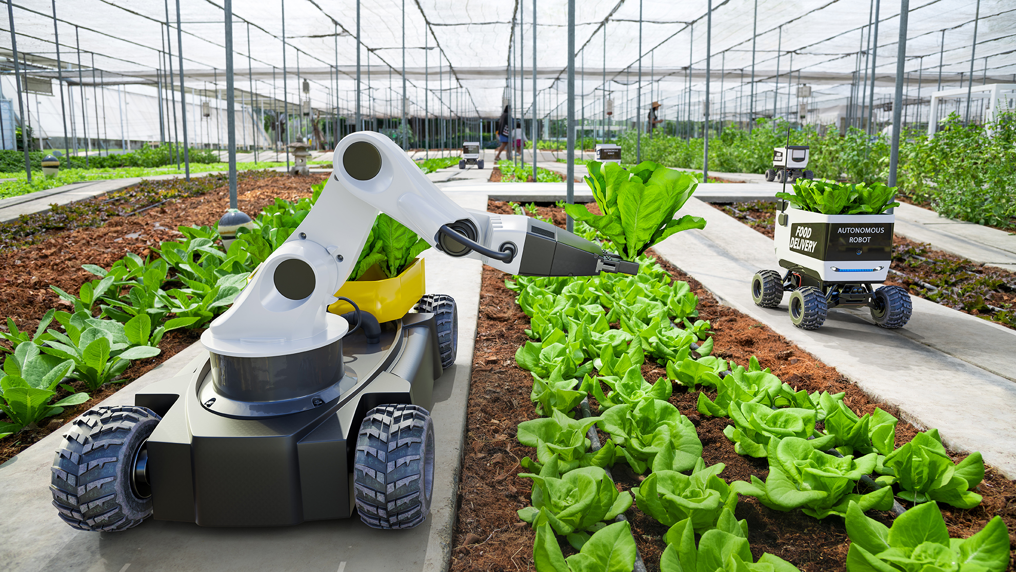 Advice from UK agri-tech for Innovate UK global funding applicants