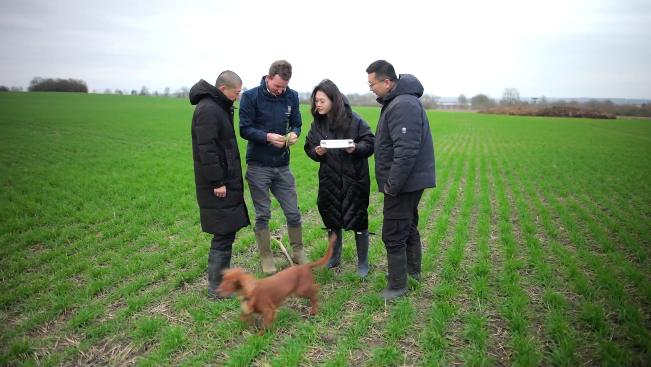 Screenshot 2026-04-01 at 15.30.35