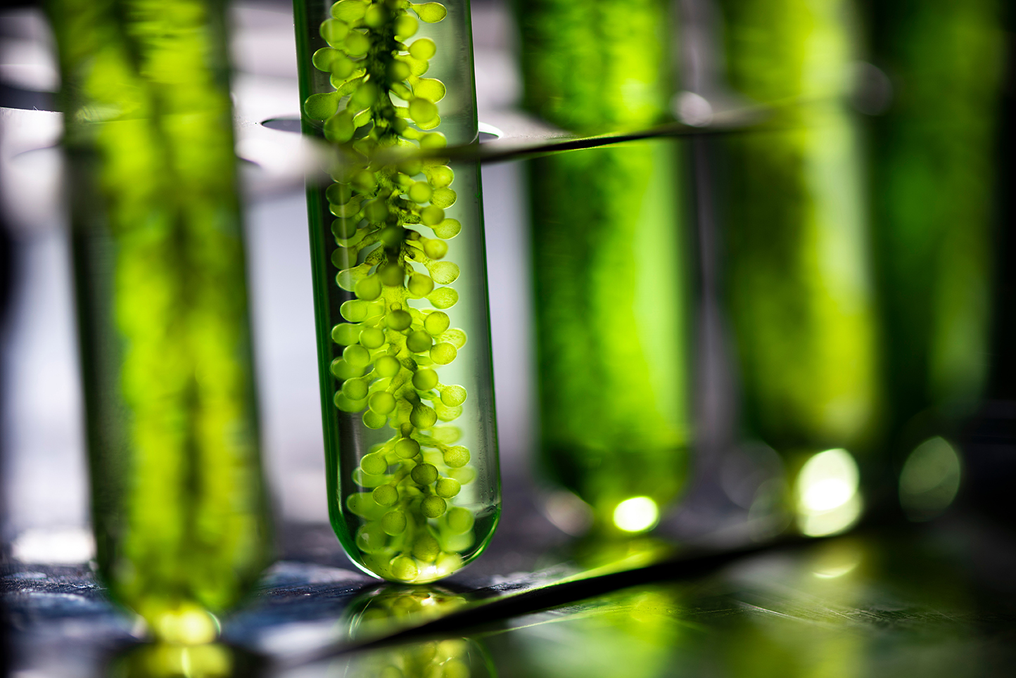 Sustainable Chemicals Innovation Network insights and learning series: Funding application guide 101