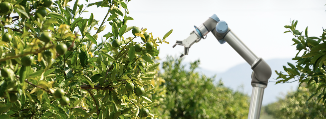 Farming Futures: Automation and robotics consortia building event